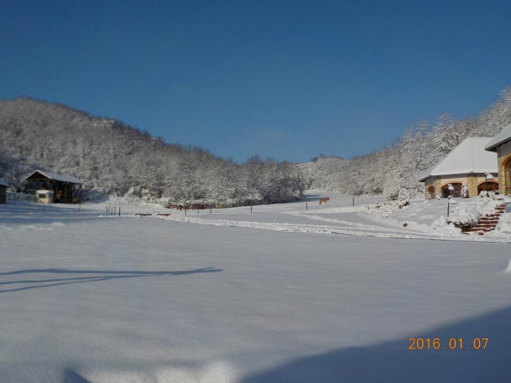 Naspolya Panzio Es Etterem Bed and Breakfast Bátaapáti Eksteriør billede