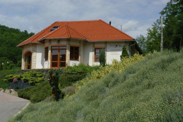 Naspolya Panzio Es Etterem Bed and Breakfast Bátaapáti Eksteriør billede
